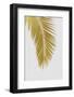 Palm Leaf Gold I-Orara Studio-Framed Photographic Print