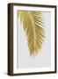 Palm Leaf Gold I-Orara Studio-Framed Photographic Print