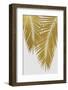 Palm Leaf Gold II-Orara Studio-Framed Photographic Print