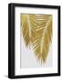 Palm Leaf Gold II-Orara Studio-Framed Photographic Print