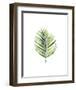 Palm Leaf I-Ann Solo-Framed Art Print