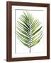 Palm Leaf I-Ann Solo-Framed Art Print