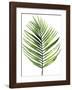 Palm Leaf I-Ann Solo-Framed Art Print