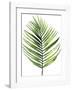 Palm Leaf I-Ann Solo-Framed Art Print