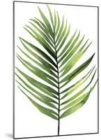 Palm Leaf I-Ann Solo-Mounted Art Print