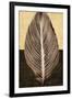 Palm Leaf I-John Seba-Framed Art Print