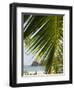 Palm Leaf, Nicoya Pennisula, Costa Rica, Central America-R H Productions-Framed Photographic Print