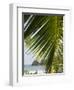 Palm Leaf, Nicoya Pennisula, Costa Rica, Central America-R H Productions-Framed Photographic Print