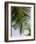 Palm Leaf, Nicoya Pennisula, Costa Rica-Robert Harding-Framed Photographic Print