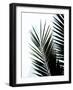Palm Leaf silhouettes with simple geometry.jpg-Dominique Vari-Framed Art Print