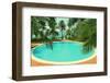 Palm Leaves and Pool - Vintage Retro Style-Mik122-Framed Photographic Print