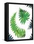 Palm Leaves Composition-Summer Tali Hilty-Framed Stretched Canvas
