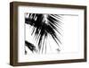 Palm Leaves, Cross, B/W-Nikky-Framed Photographic Print