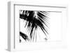 Palm Leaves, Cross, B/W-Nikky-Framed Photographic Print