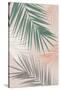 Palm Leaves Play-Sisi and Seb-Stretched Canvas