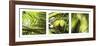 Palm Leaves-Philip Plisson-Framed Art Print