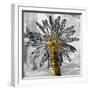 Palm Leaves-PI Studio-Framed Art Print