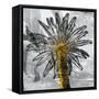 Palm Leaves-PI Studio-Framed Stretched Canvas