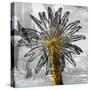 Palm Leaves-PI Studio-Stretched Canvas