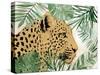 Palm Leopard I-Carol Robinson-Stretched Canvas