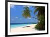 Palm-lined Beach at the Angsana Ihuru Hotel, Ihuru Island, North Male Atoll, Maldives-null-Framed Premium Giclee Print