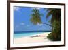 Palm-lined Beach at the Angsana Ihuru Hotel, Ihuru Island, North Male Atoll, Maldives-null-Framed Premium Giclee Print