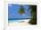 Palm-lined Beach at the Angsana Ihuru Hotel, Ihuru Island, North Male Atoll, Maldives-null-Framed Premium Giclee Print