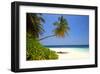 Palm-lined Beach at the Angsana Ihuru Hotel, Ihuru Island, North Male Atoll, Maldives-null-Framed Art Print