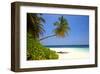 Palm-lined Beach at the Angsana Ihuru Hotel, Ihuru Island, North Male Atoll, Maldives-null-Framed Art Print