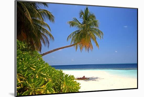 Palm-lined Beach at the Angsana Ihuru Hotel, Ihuru Island, North Male Atoll, Maldives-null-Mounted Art Print