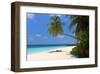 Palm-lined Beach at the Angsana Ihuru Hotel, Ihuru Island, North Male Atoll, Maldives-null-Framed Art Print