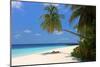 Palm-lined Beach at the Angsana Ihuru Hotel, Ihuru Island, North Male Atoll, Maldives-null-Mounted Art Print