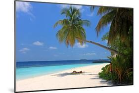 Palm-lined Beach at the Angsana Ihuru Hotel, Ihuru Island, North Male Atoll, Maldives-null-Mounted Art Print