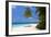 Palm-lined Beach at the Angsana Ihuru Hotel, Ihuru Island, North Male Atoll, Maldives-null-Framed Art Print