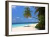 Palm-lined Beach at the Angsana Ihuru Hotel, Ihuru Island, North Male Atoll, Maldives-null-Framed Art Print