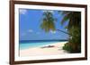 Palm-lined Beach at the Angsana Ihuru Hotel, Ihuru Island, North Male Atoll, Maldives-null-Framed Art Print