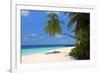 Palm-lined Beach at the Angsana Ihuru Hotel, Ihuru Island, North Male Atoll, Maldives-null-Framed Art Print