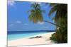 Palm-lined Beach at the Angsana Ihuru Hotel, Ihuru Island, North Male Atoll, Maldives-null-Mounted Art Print