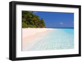 Palm-lined Beach at the Angsana Ihuru Hotel, Ihuru Island, North Male Atoll, Maldives-null-Framed Art Print