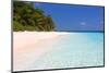 Palm-lined Beach at the Angsana Ihuru Hotel, Ihuru Island, North Male Atoll, Maldives-null-Mounted Art Print