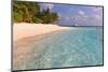 Palm-lined Beach at the Angsana Ihuru Hotel, Ihuru Island, North Male Atoll, Maldives-null-Mounted Art Print