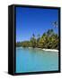 Palm Lined Beach, Cook Islands-Michael DeFreitas-Framed Stretched Canvas