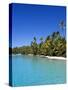 Palm Lined Beach, Cook Islands-Michael DeFreitas-Stretched Canvas