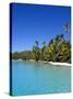 Palm Lined Beach, Cook Islands-Michael DeFreitas-Stretched Canvas