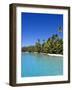 Palm Lined Beach, Cook Islands-Michael DeFreitas-Framed Photographic Print