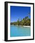 Palm Lined Beach, Cook Islands-Michael DeFreitas-Framed Photographic Print