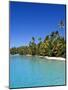 Palm Lined Beach, Cook Islands-Michael DeFreitas-Mounted Photographic Print