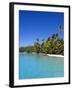 Palm Lined Beach, Cook Islands-Michael DeFreitas-Framed Photographic Print