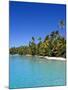 Palm Lined Beach, Cook Islands-Michael DeFreitas-Mounted Photographic Print