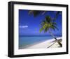 Palm-lined Beach on the Island of Bandos, North Male Atoll, Maldives-null-Framed Art Print